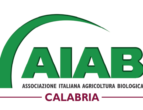 AIAB Calabria attiva l’erogazione dei servizi di patronato e CAF a sostegno delle aziende agricole